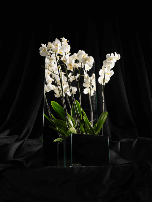 MEDIUM DOUBLE MIRROR