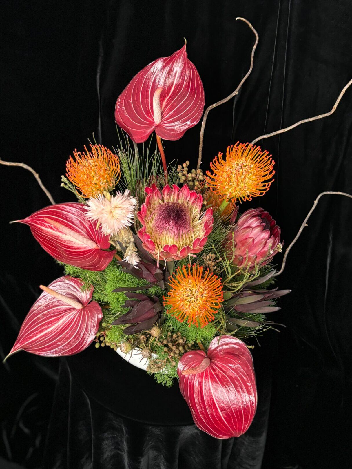 Exotic - Image 2